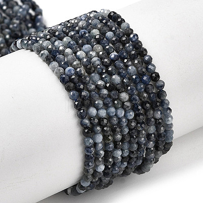 Natural Sapphire Beads Strands G-K366-C04-2mm-1
