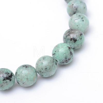 Natural Sesame Jasper/Kiwi Jasper Bead Strands G-R345-10mm-12-1