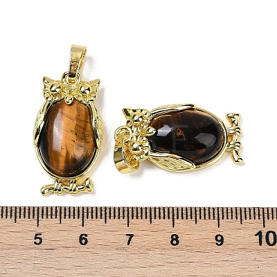 Natural Tiger Eye Pendant KK-F887-02G-07-1