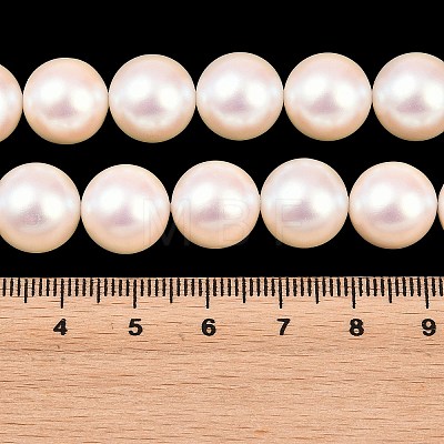Electroplated Shell Pearl Beads Strands BSHE-C011-01D-1