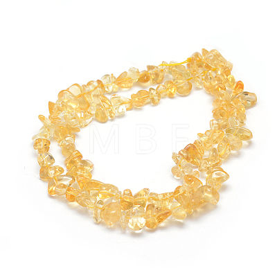 Natural Citrine Beads Strands X-G-P332-51-1