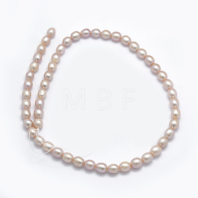 Natural Cultured Freshwater Pearl Beads Strands PEAR-K003-23A-01-1