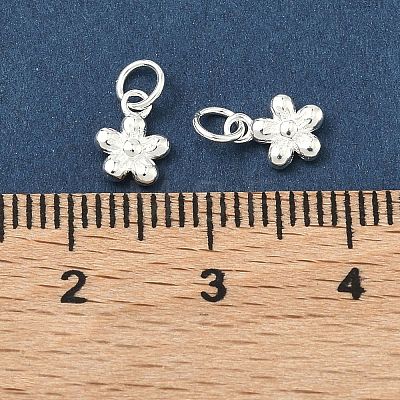 925 Sterling Silver Charms STER-A050-03A-S-1