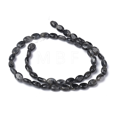 Natural Black Larvikite Beads Strands G-Z006-A03-1