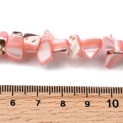 Natural Trochid Shell/Trochus Shell Beads Strands SHEL-B003-02C-1