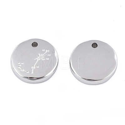 Non-Tarnish 316 Surgical Stainless Steel Charms STAS-S116-418J-P-1