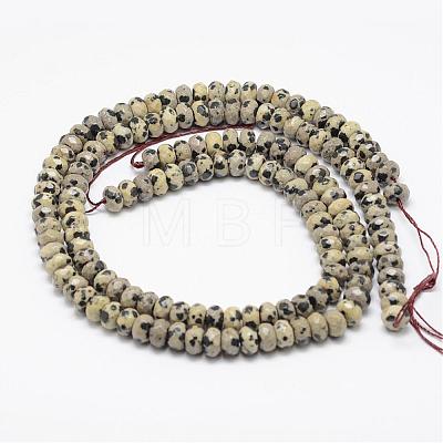 Faceted Natural Dalmatian Jasper Rondelle Beads Strands G-K090-03-1