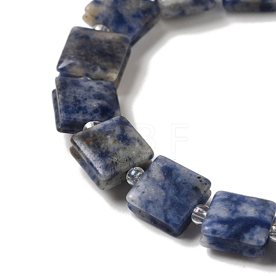 Natural Blue Spot Jasper Beads Strands G-L596-A07-01-1