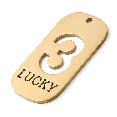 304 Stainless Steel Pendants STAS-D200-02D-G-1