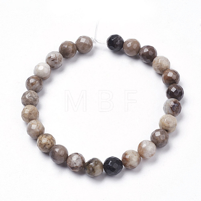 Natural Silver Leaf Jasper Beads Strands G-K181-6mm-O01-1