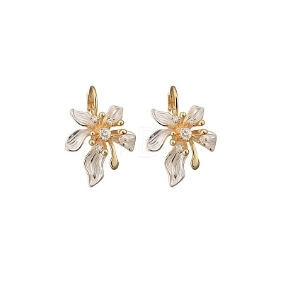 Alloy Enamel Leverback Earrings WGBBE2E-01-1