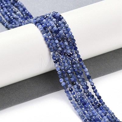 Natural Sodalite Beads Strands G-G139-A07-02-1