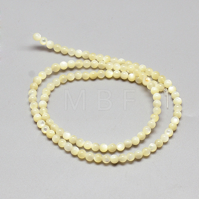 Natural Sea Shell Beads Strands SSHEL-Q301-10A-3mm-1