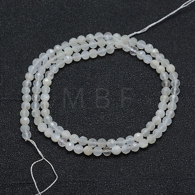 Natural White Moonstone Beads Strands G-E411-07-2mm-1