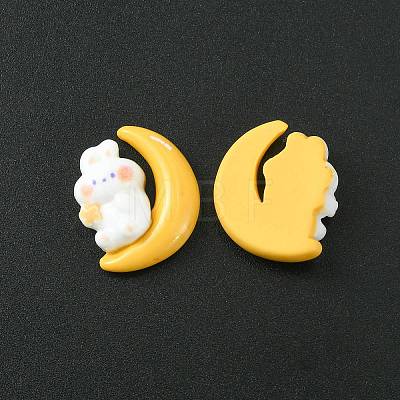 Opaque Resin Cabochons CRES-O006-04-1