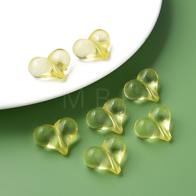 Transparent Acrylic Beads MACR-S373-70-B03-1