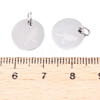 Non-Tarnish 201 Stainless Steel Charms STAS-T049-T674-1-1