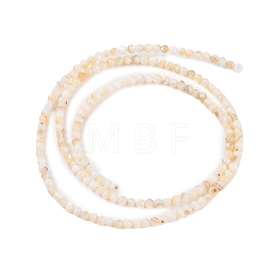 Natural Freshwater Shell Beads Strands SHEL-T011-02-4mm-1