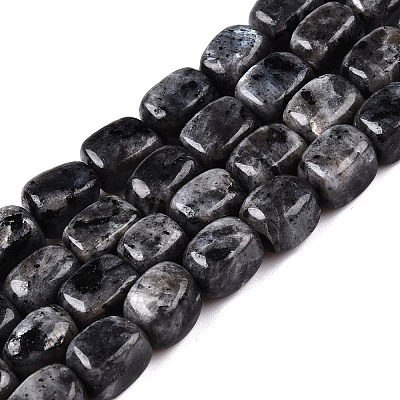 Natural Larvikite Beads Strands G-T138-106-1