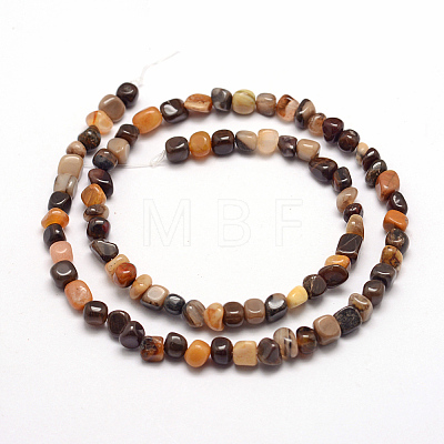 Natural Petrified Wood Beads Strands G-F465-20B-1