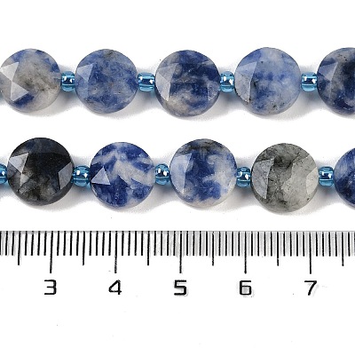 Natural Blue Spot Jasper Beads Strands G-C116-A79-01-1