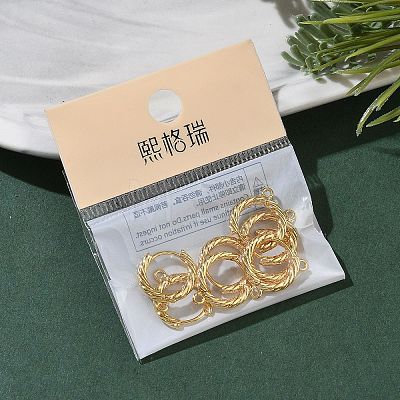 SHEGRACE Brass Hoop Earrings Findings XGR0152G-90G-1