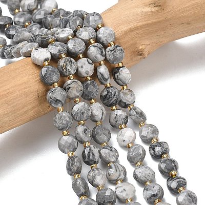 Natural Map Stone Beads Strands G-K389-B84-01-1
