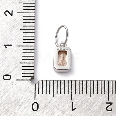 925 Sterling Silver Cubic Zirconia Charms STER-NH0014-01P-11-1