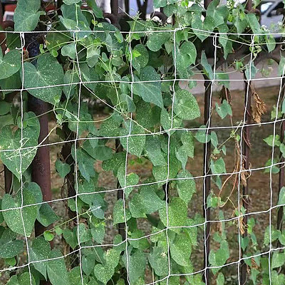 Polyester Plant Trellis Netting for Garden AJEW-WH0609-869-1