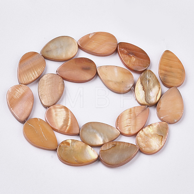Freshwater Shell Beads Strands SHEL-T014-010C-1
