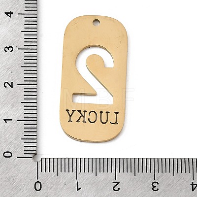 304 Stainless Steel Pendants STAS-D200-02C-G-1