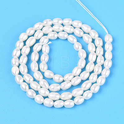 Natural Cultured Freshwater Pearl Beads Strands PEAR-N024-03-2AB-01-1