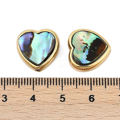 Natural Paua Shell Beads SSHEL-M024-03D-G-1