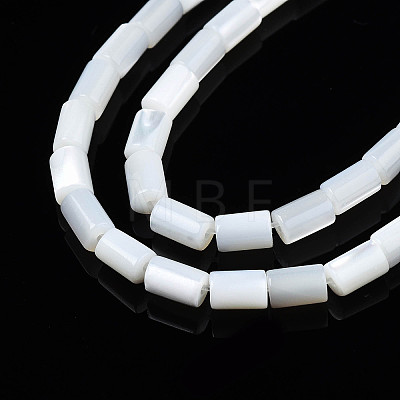 Natural Freshwater Shell Beads Strands X-SHEL-N003-26-A01-1