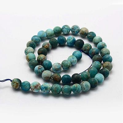 Natural Apatite Beads Strands G-K193-10mm-12-1