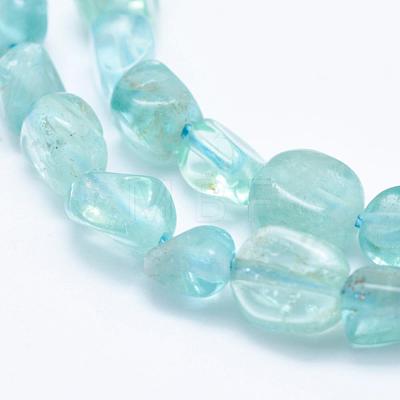 Natural Apatite Beads Strands G-K203-50B-1
