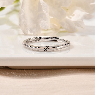 Rhodium Plated 925 Sterling Silver Adjustable Rings RJEW-S397-01P-06-1