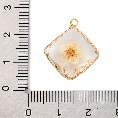 Brass Resin Pendants KK-U042-16G-01-1