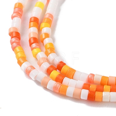 Handmade Czech Lampwork Beads Strands LAMP-L078-008B-1