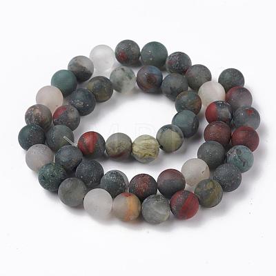 Natural African Bloodstone Beads Strands G-P295-05-8mm-1