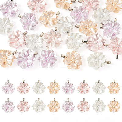 24Pcs 4 Colors Resin Pendants PALLOY-TAC0303-1