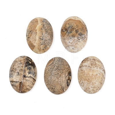 Natural Picture Jasper Cabochons G-Q186-01D-1