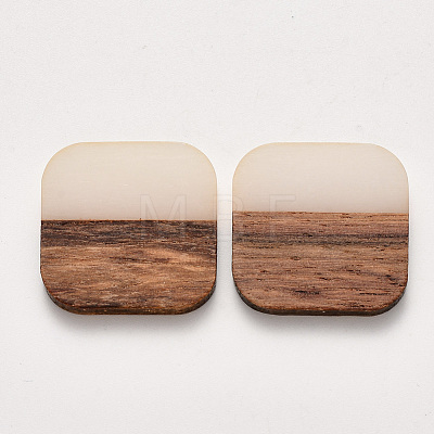 Resin & Walnut Wood Cabochons RESI-S384-010A-A01-1