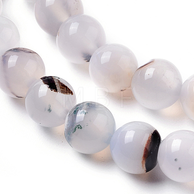 Natural Dendritic Agate Beads Strands G-I261-B03-8mm-1