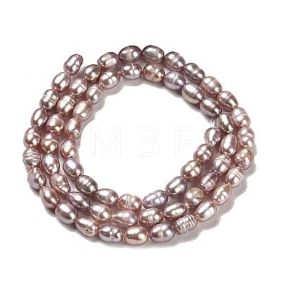 Natural Cultured Freshwater Pearl Beads Strands PEAR-E016-131-1