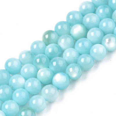 Natural Freshwater Shell Beads Strands X-BSHE-T009A-01E-1