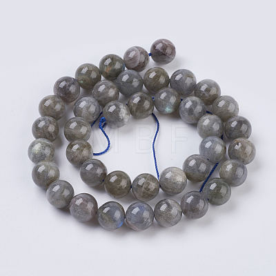 Natural Labradorite Beads Strands X-G-G212-10mm-23-1