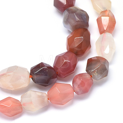 Natural Carnelian Agate Beads Strands G-O173-093-1