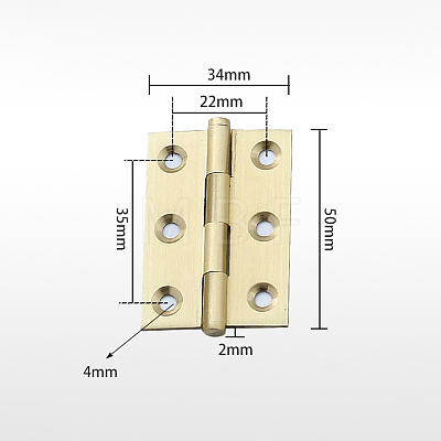 Brass Hinge CABI-PW0001-163-E02-1