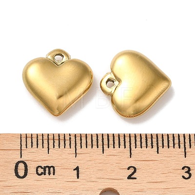 304 Stainless Steel Charms STAS-Q252-22G-1